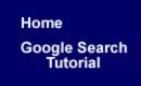 GoogleSearch